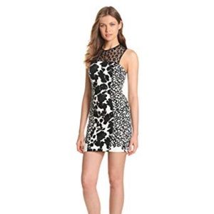 French connection leopard print dress